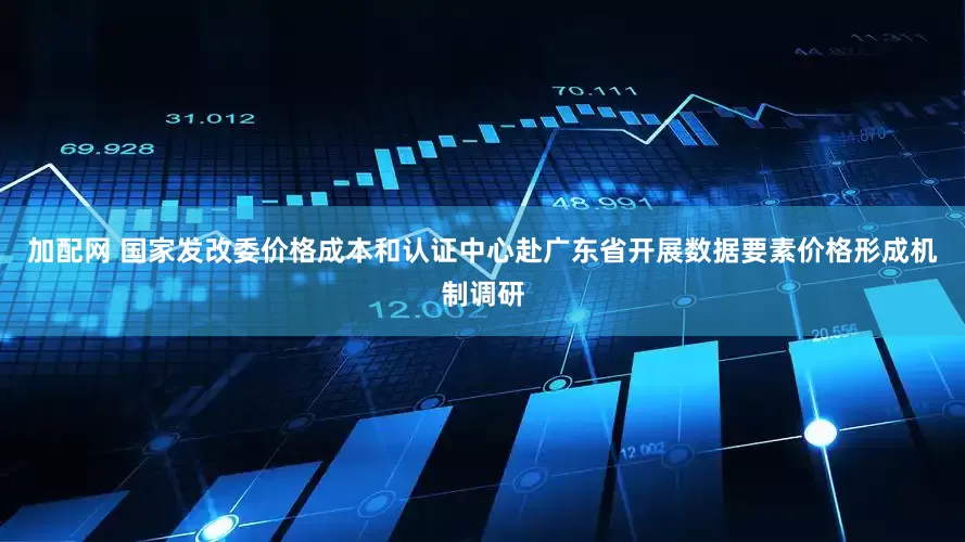 加配网 国家发改委价格成本和认证中心赴广东省开展数据要素价格形成机制调研